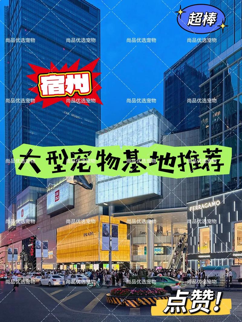 安徽宿州推动宠物经济产业发展：打造区域性宠物交易中心