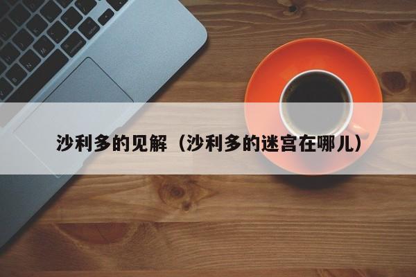 沙利多的见解（沙利多的迷宫在哪儿）