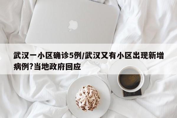 武汉一小区确诊5例/武汉又有小区出现新增病例?当地政府回应
