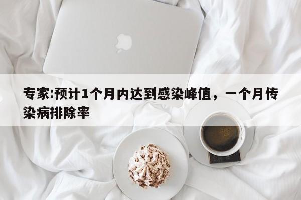 专家:预计1个月内达到感染峰值，一个月传染病排除率