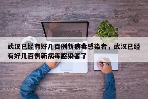 武汉已经有好几百例新病毒感染者，武汉已经有好几百例新病毒感染者了